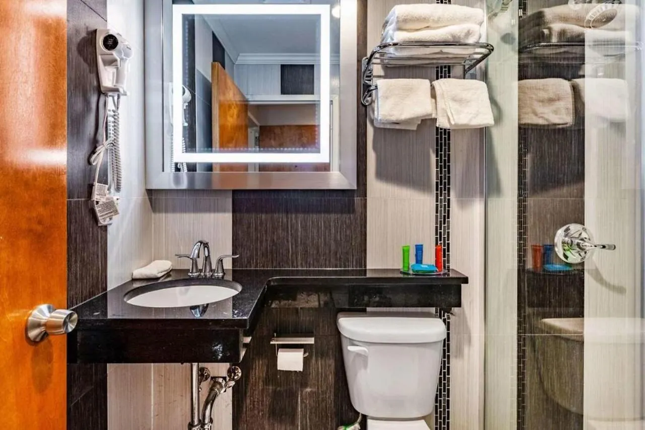 Umbrella Hotel Brooklyn New York